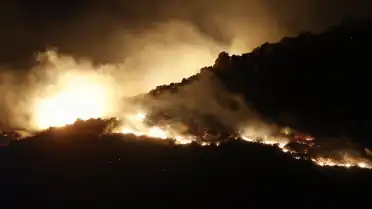 Bodrum'da Makilik Alanda Yangın: Ekipler Seferber Oldu
