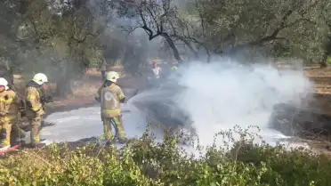 Bursa'da Trafik Kazası: Otomobil Ağaca Çarptı, 1 Kişi Hayatını Kaybetti, 5 Kişi Yaralandı