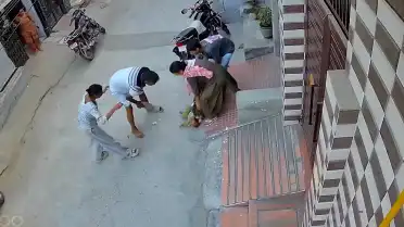 Hindistan'da Pitbull Saldırısı: Bebek Sopalarla Kurtarıldı