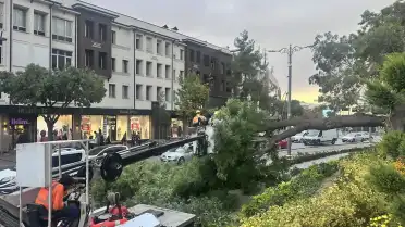 Konya'da Fırtına Nedeniyle Devrilen Ağacın Altında Kalan Çocuk Yaralandı