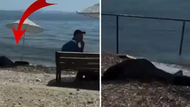 Sahildeki Kadının Cansız Bedeni Kıyıya Vurdu, Çevredeki Vatandaşlar Tepkisiz Kaldı
