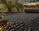 Zeytin Çekirdeklerinden Çevre Dostu Asfalt Üretimi Başladı