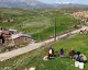 Doğada Yetişen Madımak 250 Liradan Satılıyor