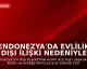 Endonezya'da Evlilik Dışı İlişki Nedeniyle Kadına 100 Kırbaç Cezası
