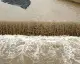 Karasu Nehri Taştı, Tarım Arazileri Su Altında Kaldı