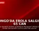 Kongo'da Ebola Salgını: 65 Can Kaybı Bildirildi