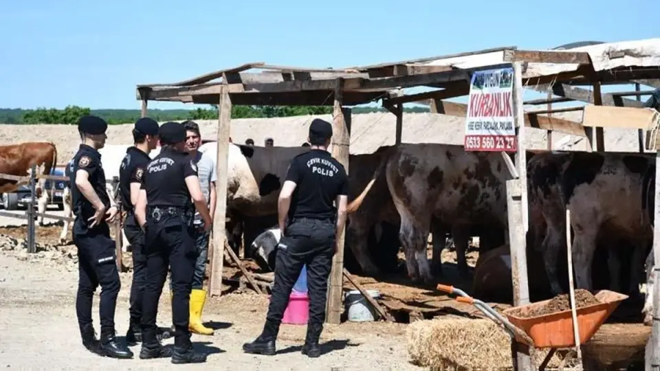 Kurban Pazarında Çıkan Kavgada 5 Kişi Yaralandı