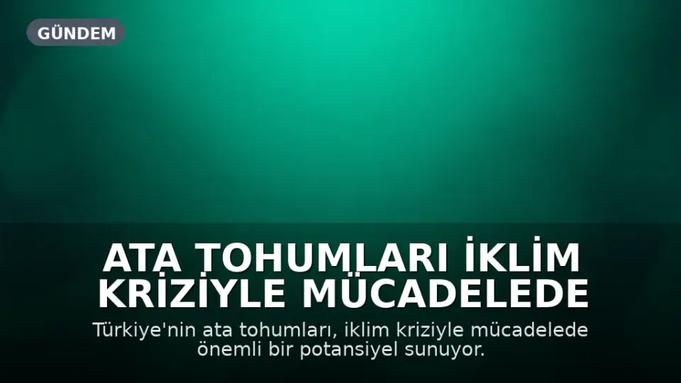Ata Tohumları İklim Kriziyle Mücadelede Umut Veriyor