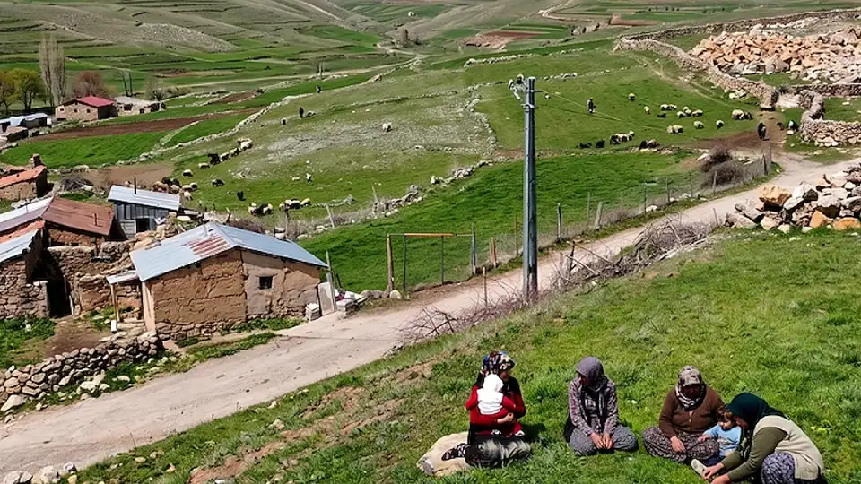 Doğada Yetişen Madımak 250 Liradan Satılıyor