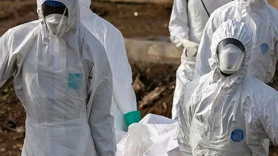 DSÖ'den Ebola Uyarısı: Salgın Yayılma Riski Taşıyor