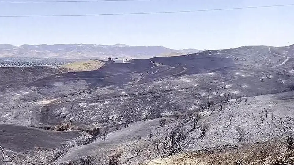 Kaliforniya'da Orman Yangını Günlerdir Sürüyor, Tahliyeler Devam Ediyor