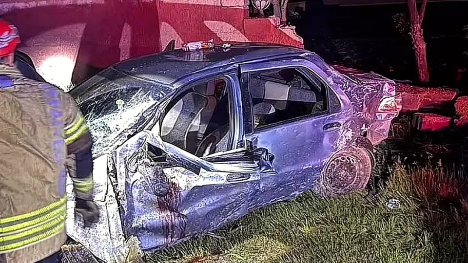 Muş'ta Trafik Kazası: 1 Kişi Hayatını Kaybetti, 3 Kardeş Yaralandı
