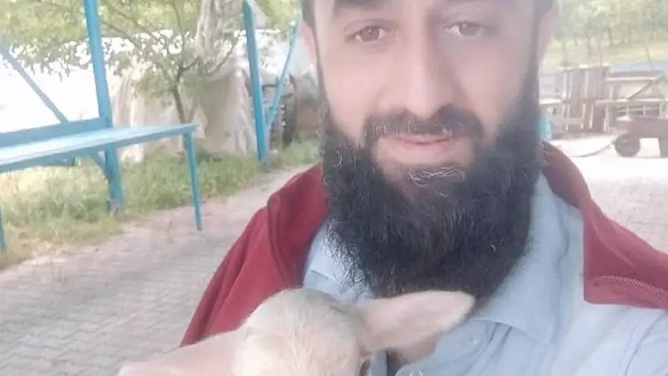 Orhangazi'de Zincirleme Kaza: 1 Kişi Hayatını Kaybetti, 4 Yaralı