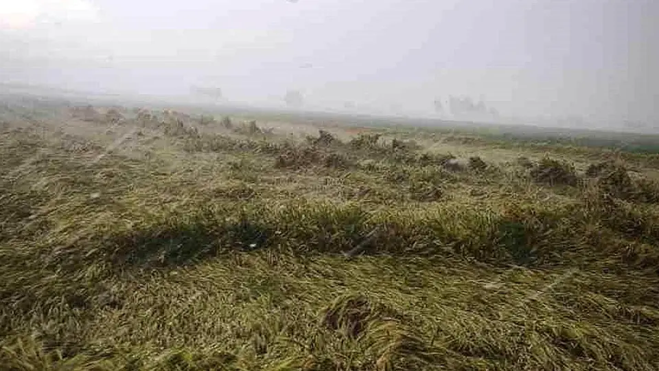 Osmaniye'de Sağanak Nedeniyle Evinde Mahsur Kalan Yaşlı Kadın Kurtarıldı