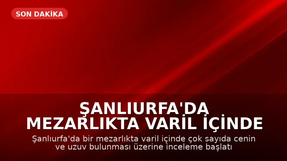 Şanlıurfa'da Mezarlıkta Varil İçinde Cenin ve Uzuvlar Bulundu