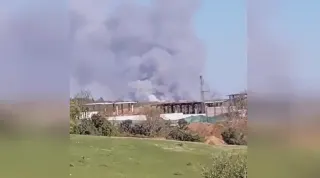 Beykoz'da Orman Yangını: Müdahale Sürüyor