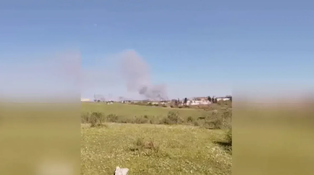 Beykoz'da Ormanlık Alanda Yangın Çıktı
