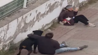 Ümraniye'de Ağızlıksız Rottweiler Küçük Köpeğe Saldırdı