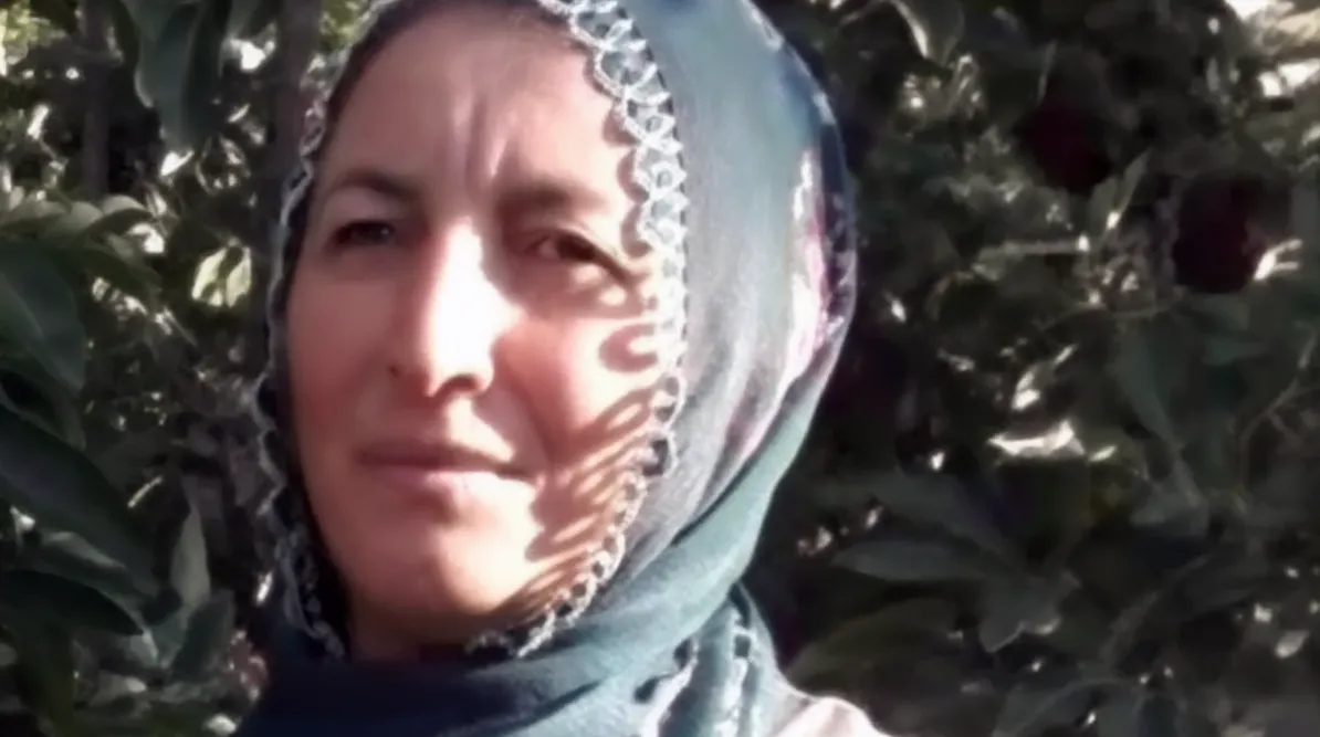 Aksaray'da İş Cinayeti: H.B. Ağaç Devrilmesi Sonucu Hayatını Kaybetti