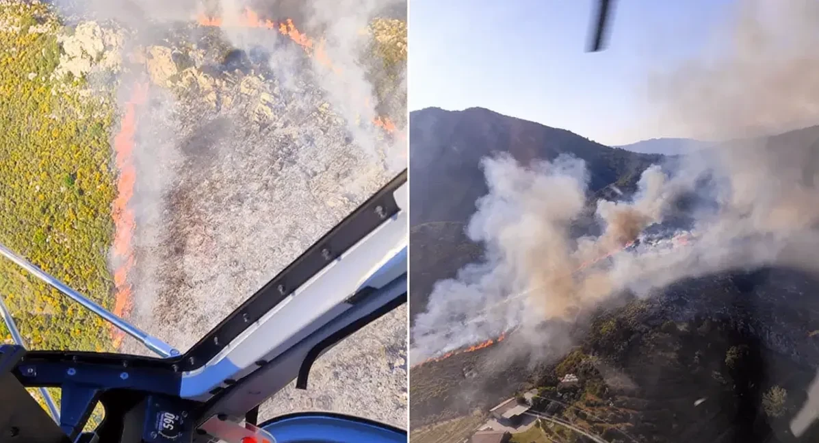 Muğla Marmaris'te Orman Yangını: Ekipler Müdahale Ediyor