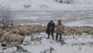Tipi ve Heyelan Nedeniyle Yaylada Mahsur Kalan Çobanlar ve Hayvanlar İçin Kurtarma Çalışması Başlatıldı