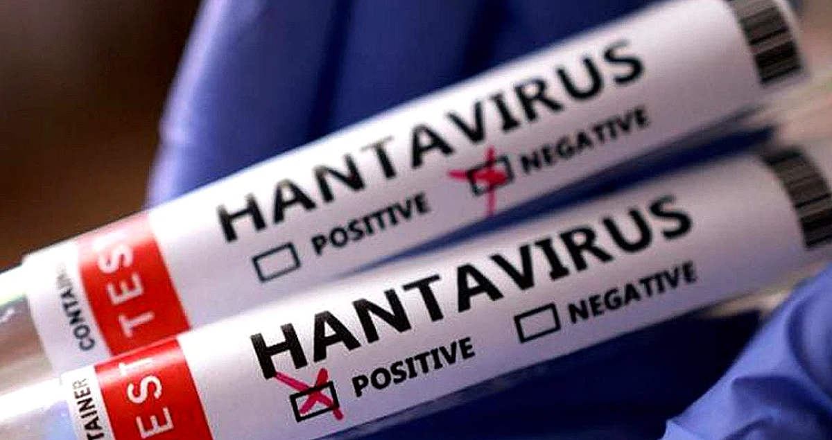 Hantavirüs Vakaları Sonrası Sağlık Bakanlığı'ndan Açıklama: Tedbirler Alındı