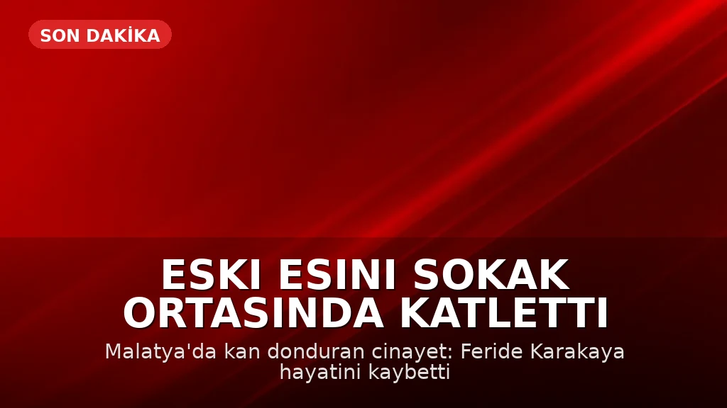 Malatya'da Eski Eş Cinayeti: F.K. Sokak Ortasında Katledildi