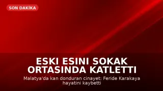 Malatya'da Eski Eş Cinayeti: F.K. Sokak Ortasında Katledildi