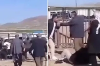 Van Hayvan Pazarı'nda Kanlı Kavga: 1 Ölü, 13 Yaralı