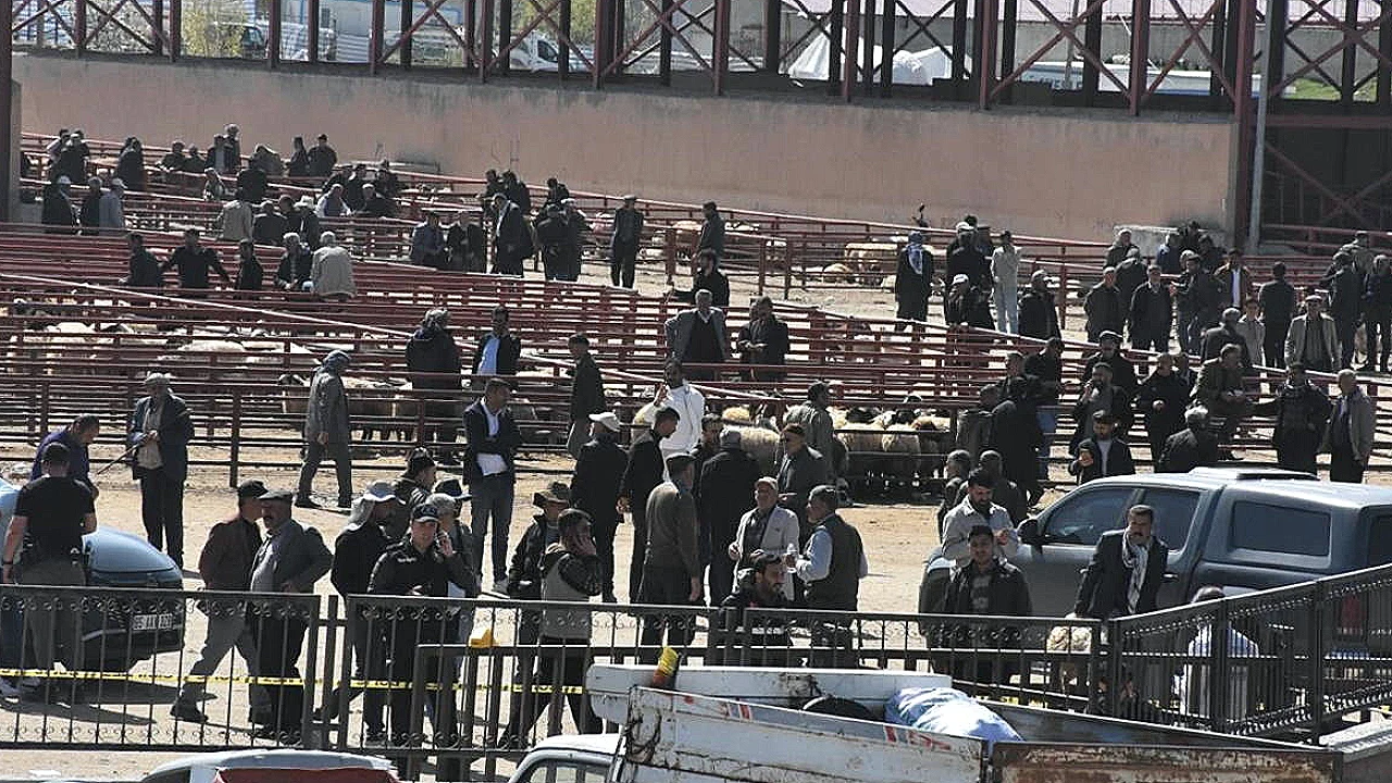 Van'da Hayvan Pazarında Çıkan Kavgada 1 Kişi Hayatını Kaybetti, 13 Kişi Yaralandı